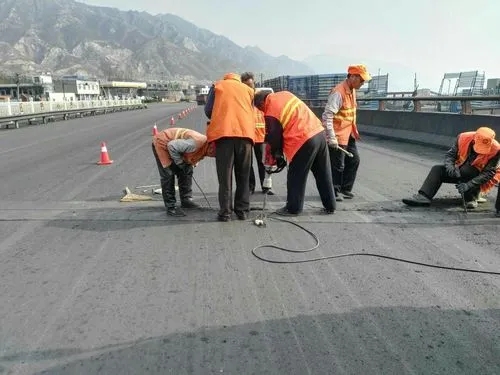 雷州道路桥梁病害治理